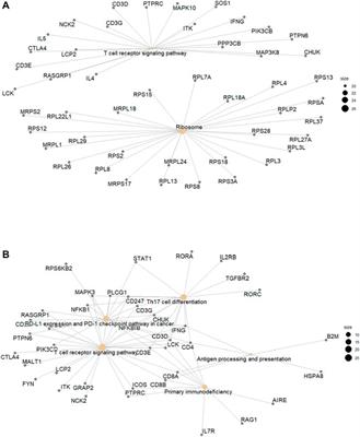 Genome-Wide DNA Methylation Profiling in CD8 T-Cells and Gamma Delta T-Cells of Asian Indian Patients With Takayasu Arteritis